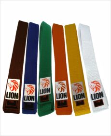 Lion belt gordel band judo budo kleur color judoband club stevig