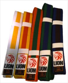 Lion belt gordel band judo budo bicolor judoband tweekleurig club