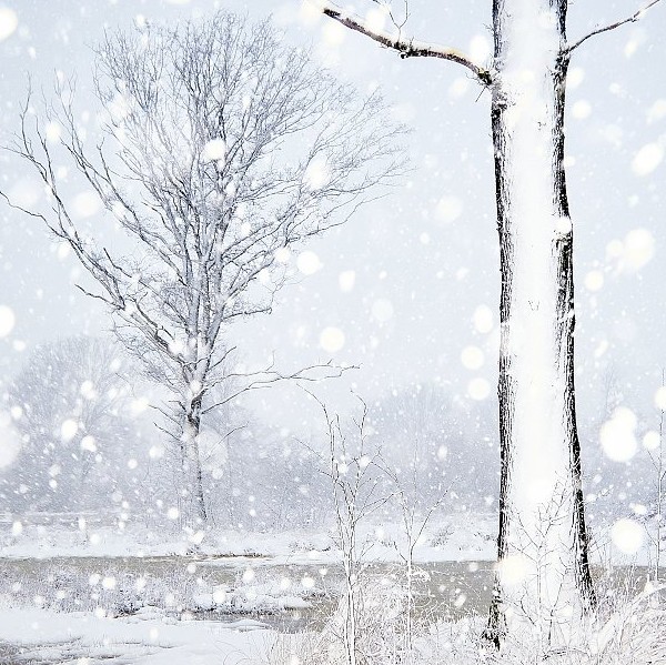 Pakketten worden niet opgehaald op maandag 5 januari